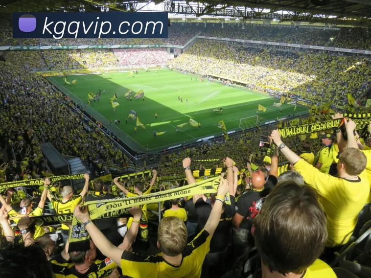 看个球直播官网发展历程